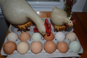 Fresh farm eggs from Lake Farm 