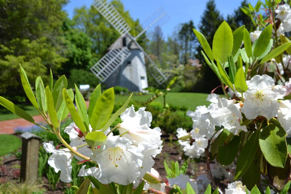 Heritage Gardens Cape Cod